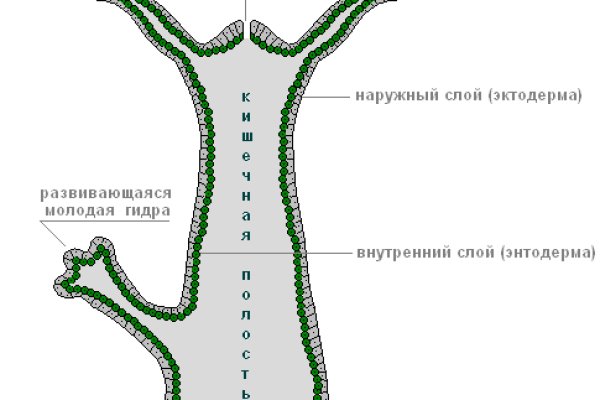 Кракен онион сайт io